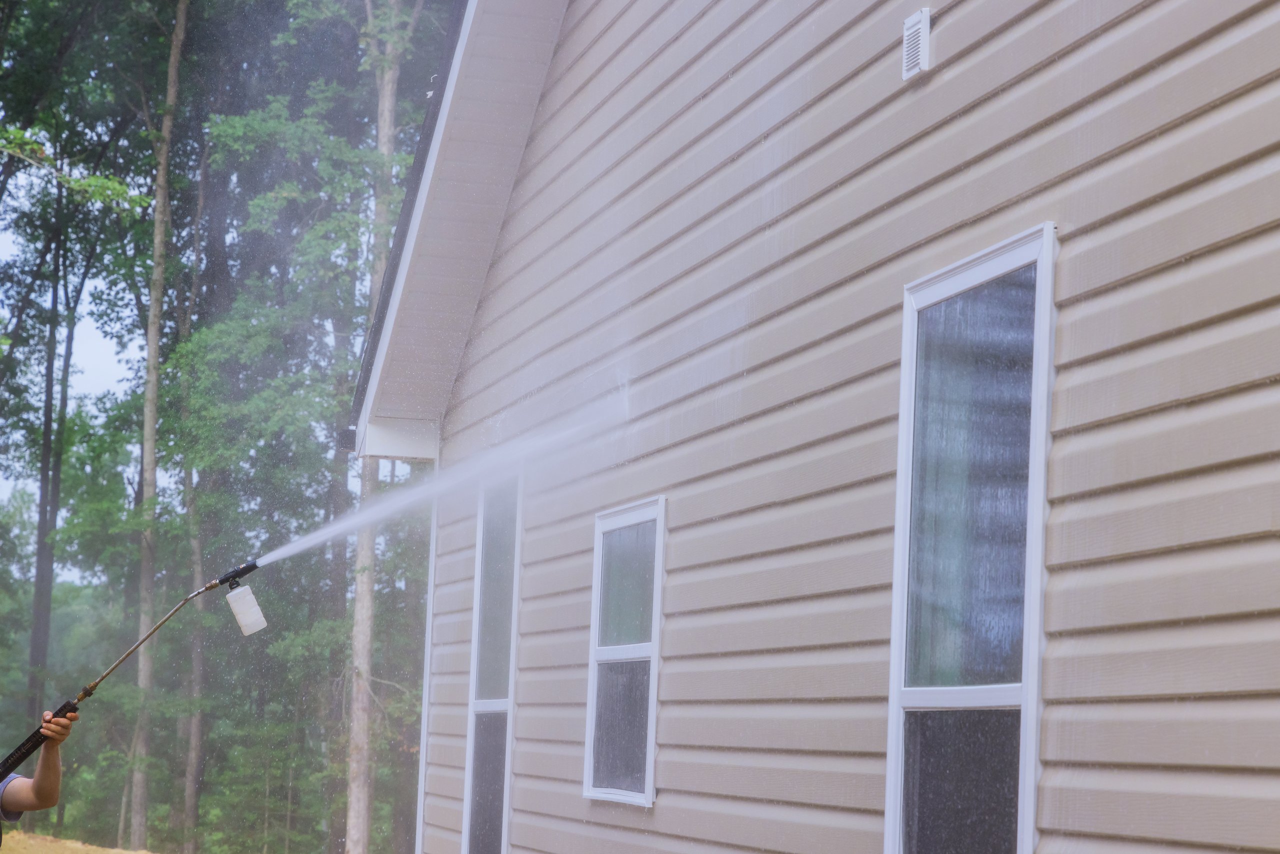 Professional cleaning mold from vinyl siding